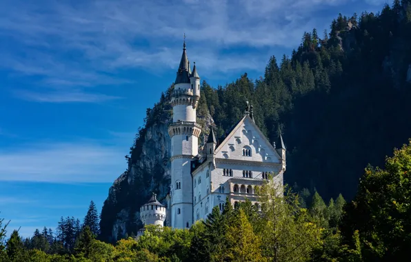 Picture forest, rock, castle, Germany, Bayern, Germany, Bavaria, Neuschwanstein Castle, Neuschwanstein Castle, Schwangau, Schwangau