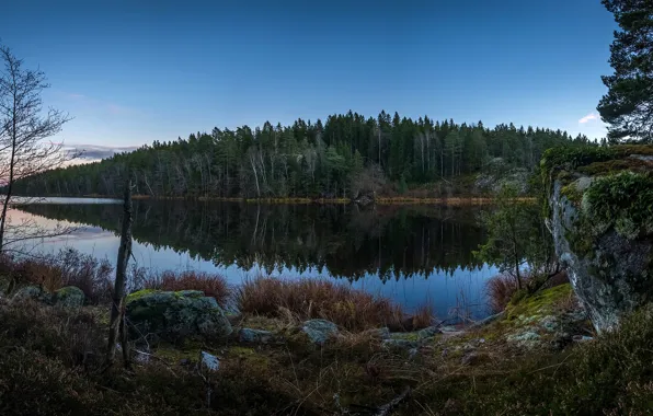 Picture forest, the sky, grass, water, trees, reflection, river, stones, shore, moss, the evening, Sweden, Grodinge