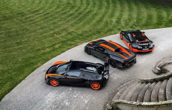 Picture lawn, Bugatti, ladder, Veyron, 2010, 2013, Chiron, 2019, Veyron 16.4 Super Sport World Record Edition, …