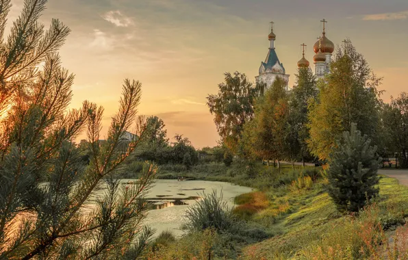 Picture landscape, nature, pond, village, Church, Елена Гусева, Жестылево