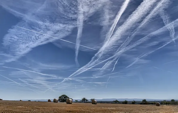 Picture the sky, nature, chemtrail, poison