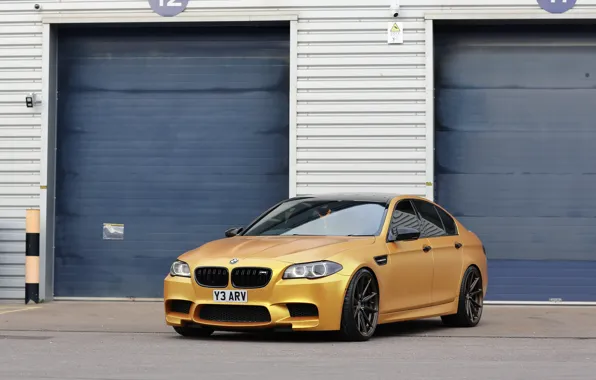Picture BMW, F10, Gold, M5