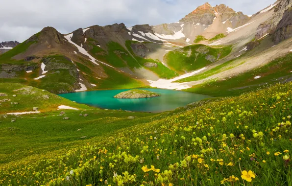 Picture greens, snow, flowers, mountains, lake, spring, slope, pond