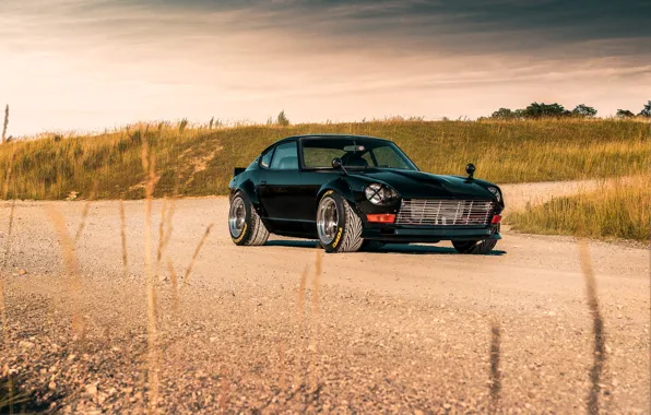 Picture road, design, style, sports, Nissan, Car, Datsun, the front, 240z 6