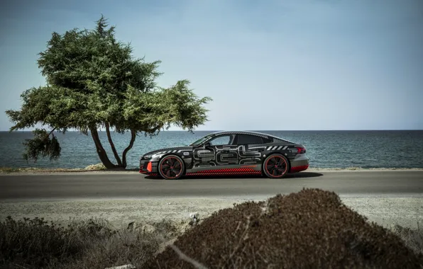 Picture road, tree, Audi, coupe, side, 2020, RS e-Tron GT Prototype