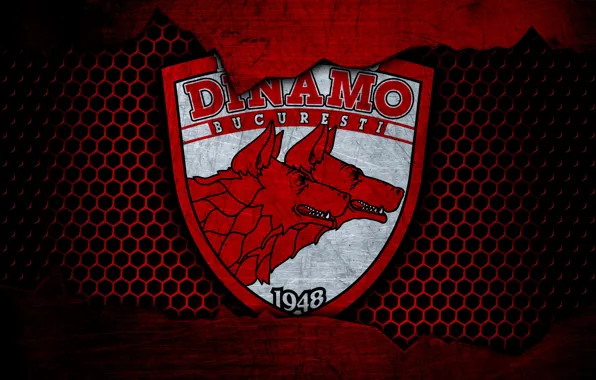 Picture wallpaper, sport, logo, football, Dinamo Bucharest