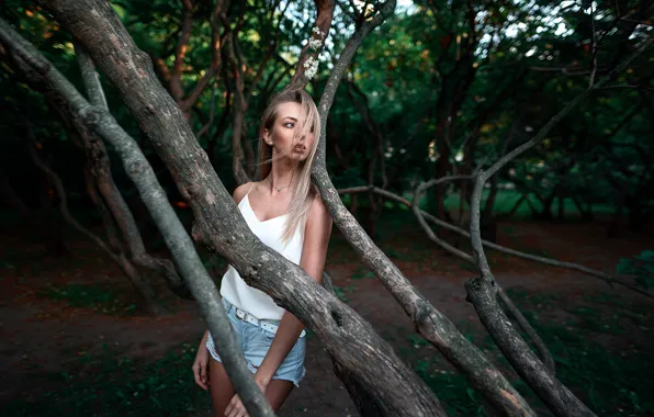 Picture girl, trees, nature, pose, Park, hair, Nastya, Kustarev Maxim