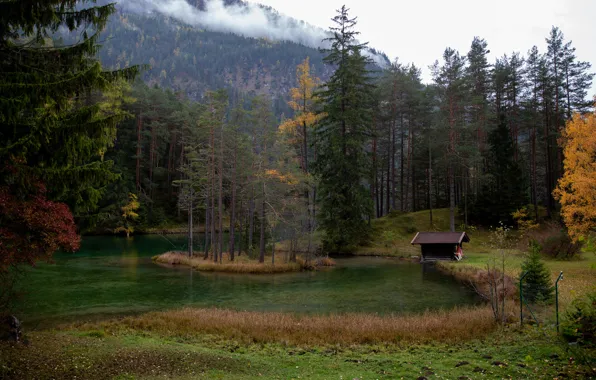 Picture autumn, forest, trees, mountains, lake, pond, shore, hut, ate, pine, house, island