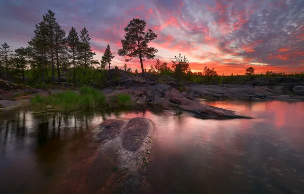 Picture trees, landscape, night, nature, lake, stones, shore, Lake Ladoga, Ladoga, Maxim Evdokimov