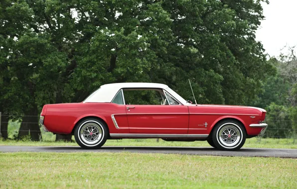 Picture Red, Ford Mustang, 1964, Hardtop, Pony Car