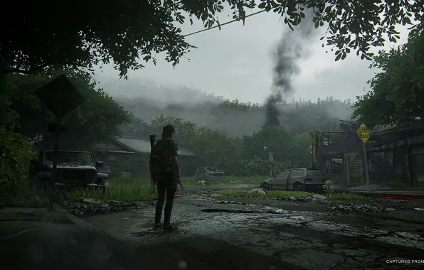 Picture forest, machine, smoke, village, art, Ellie, The Last of Us Part II