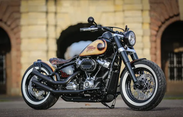 Picture Harley Davidson, Harley-Davidson, Custom, Motorbike, Thunderbike, By Thunderbike, FLYING SLIM