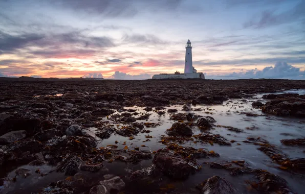 Picture England, St Mary's Lighthouse, Tyneside