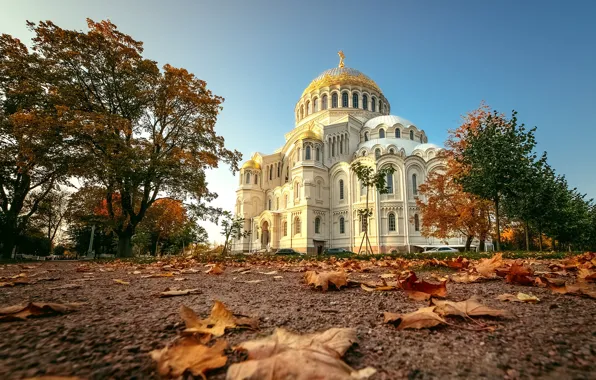 Picture autumn, leaves, trees, landscape, architecture, Kronstadt, Никольский Морской собор