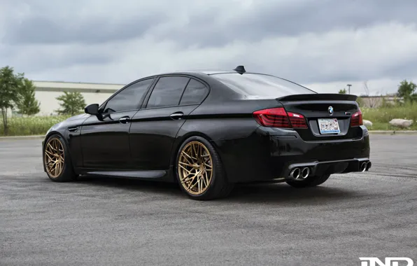 Picture BMW, Muscle, Black, Tuning, F10, IND, GoldWheels