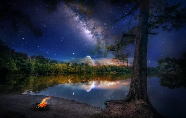 Picture forest, the sky, landscape, night, nature, lake, reflection, stars, the milky way, the fire, Bank