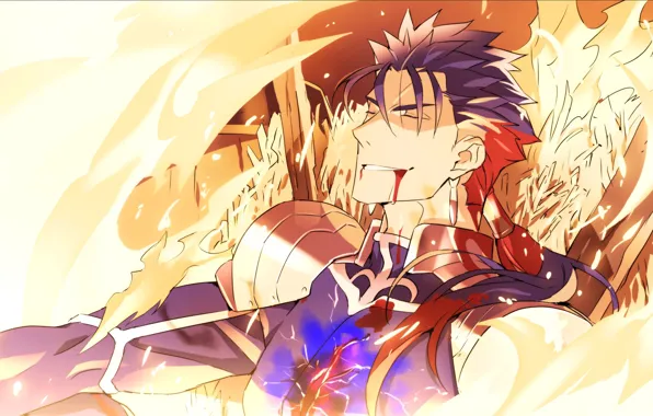 Picture blood, guy, Lancer, Fate stay night, Fate / Stay Night