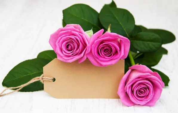 Picture roses, bouquet, wood, pink, Rozovye, Olena Rudo