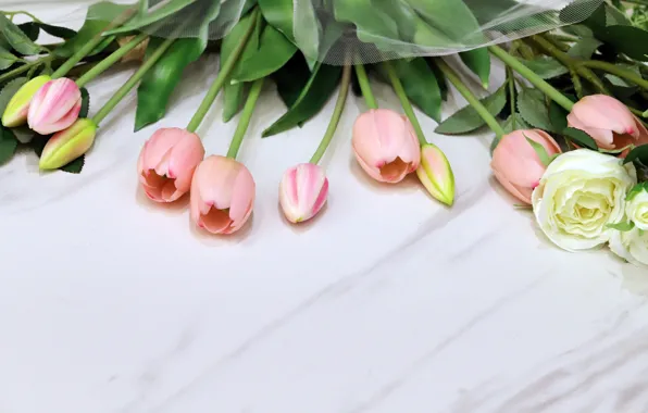 Picture flowers, Board, rose, bouquet, tulips, white, pink, light background, buds