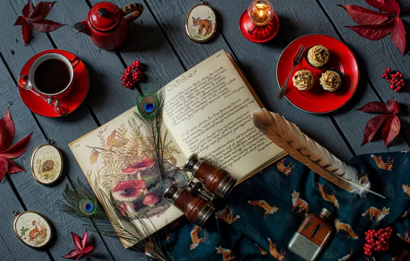 Picture leaves, style, berries, tea, candle, feathers, kettle, Cup, binoculars, book, still life, cupcakes