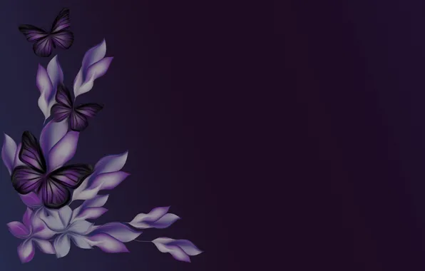Picture purple, butterfly, flowers