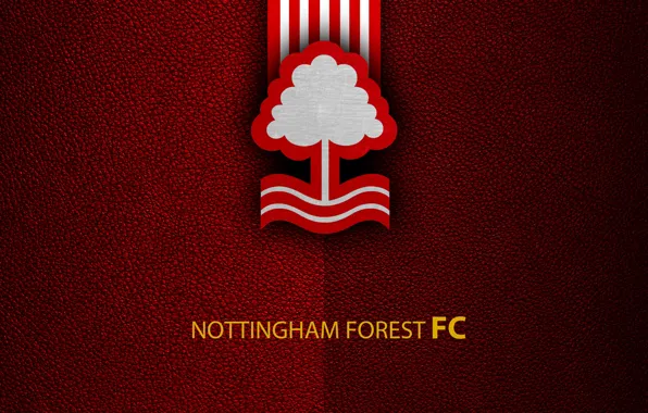 Picture wallpaper, sport, logo, football, English Premier League, Nottingham Forest