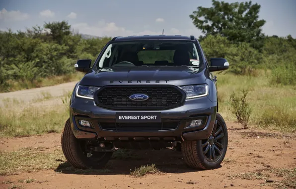 Picture Ford, front view, Sport, Everest, 4WD, 2021