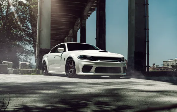 Picture Dodge, Charger, White, SRT Hellcat