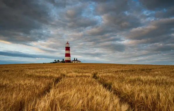 Picture field, summer, lighthouse