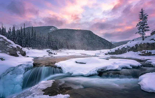 Picture winter, snow, landscape, sunset, mountains, nature, river, waterfall, ice, Canada, forest, Elbow Falls
