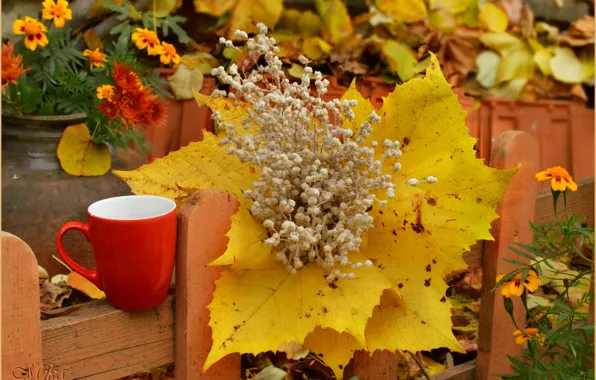 Picture Leaves, Flowers, Cup, Pitcher