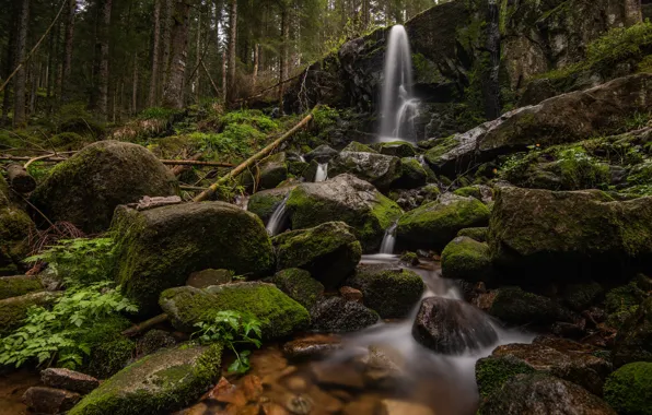 Picture forest, trees, stream, stones, France, waterfall, moss, Cascade of Merelle