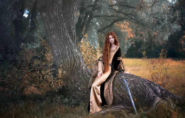 Picture girl, tree, sword, dress, fantasy