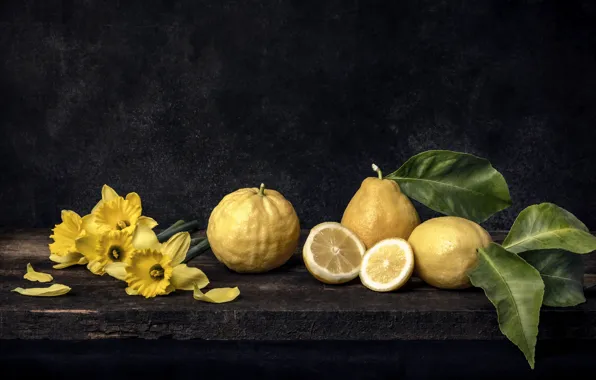 Picture flowers, the dark background, Board, yellow, fruit, still life, lemons, daffodils