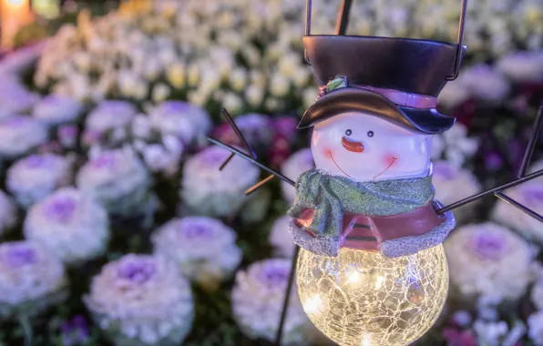Picture light bulb, Christmas, snowman