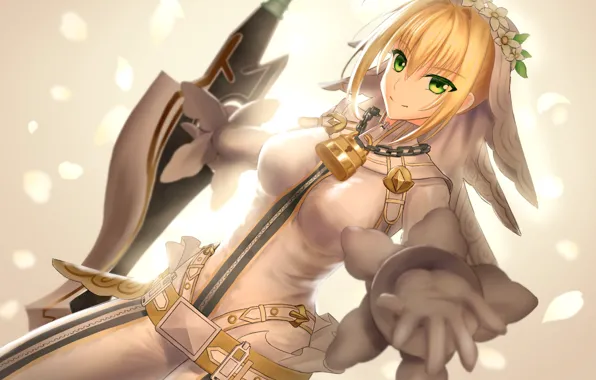 Picture girl, the saber, Fate / Grand Order, The destiny of a great campaign