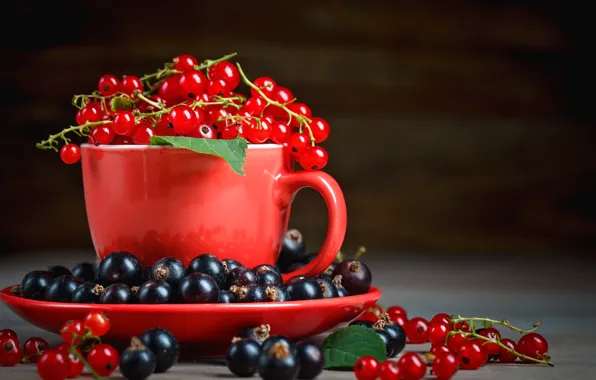 Picture berries, mug, currants