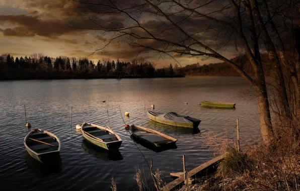 Picture autumn, forest, trees, clouds, lake, river, shore, boats, the evening, pond, gloomy sky