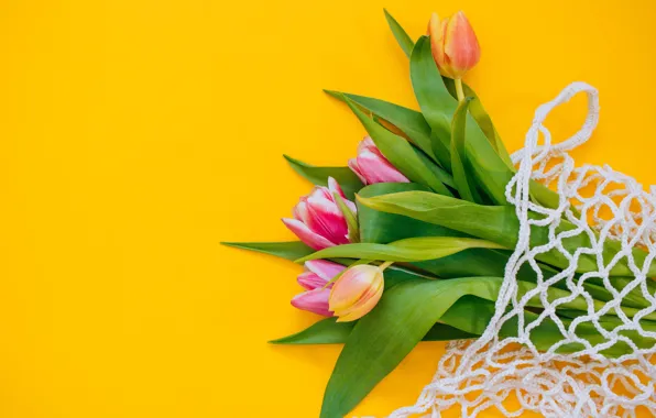 Picture mesh, bouquet, tulips, buds