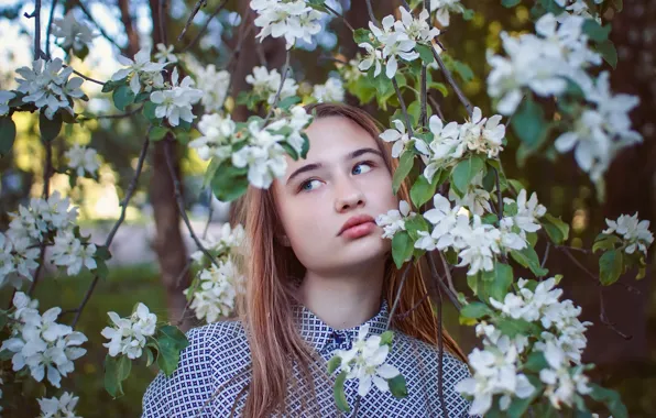 Picture girl, portrait, spring