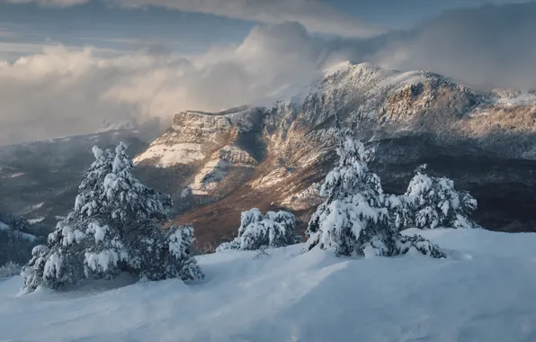 Picture winter, clouds, snow, trees, landscape, mountains, nature, valley, Crimea, Demerdzhi