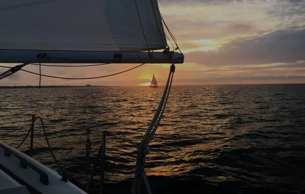 Picture sea, the sun, sunset, coast, boat, the evening, sails