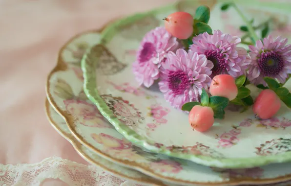 Picture flowers, style, plates, chrysanthemum