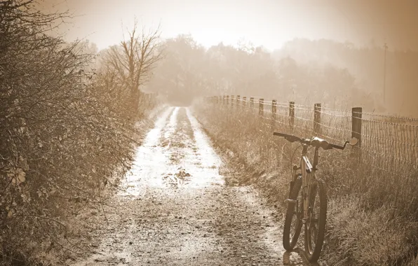 Picture road, bike, fog, morning