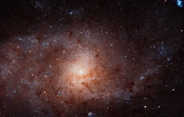 Picture Spiral galaxy, NGC 598, constellation Triangulum, The Triangulum Galaxy, Messier 33