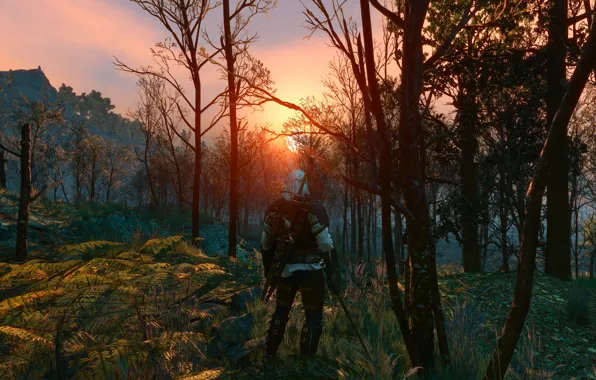 Picture Sword, Warrior, Armor, The Witcher, The Witcher, Geralt, CD Projekt RED, The Witcher 3: Wild …
