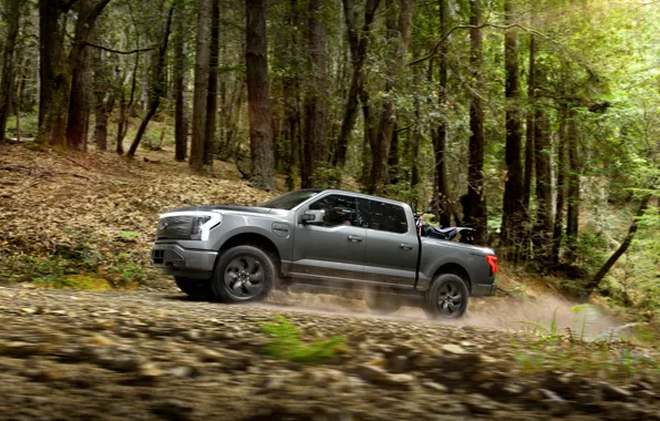 Picture Ford, Trees, Forest, Car, Metalik, 2022, Ford F-150 Lightning Lariat
