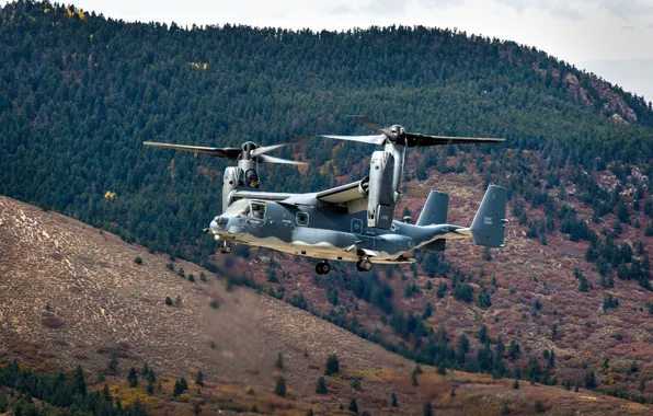 Picture American, Bell, Osprey, CV-22, basic heliplane for CSR USAF