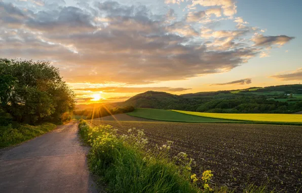 Picture road, field, sunset, Germany