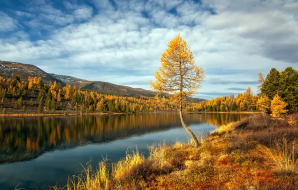 Picture autumn, landscape, mountains, nature, lake, Kazakhstan, Кок-Коль